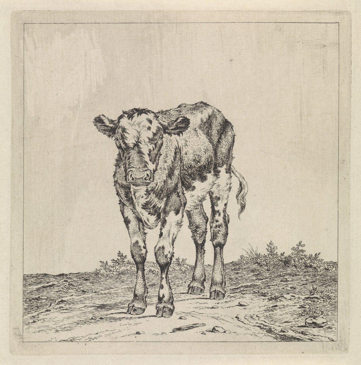 Pejzaż z łydką autorstwa Pieter Janson