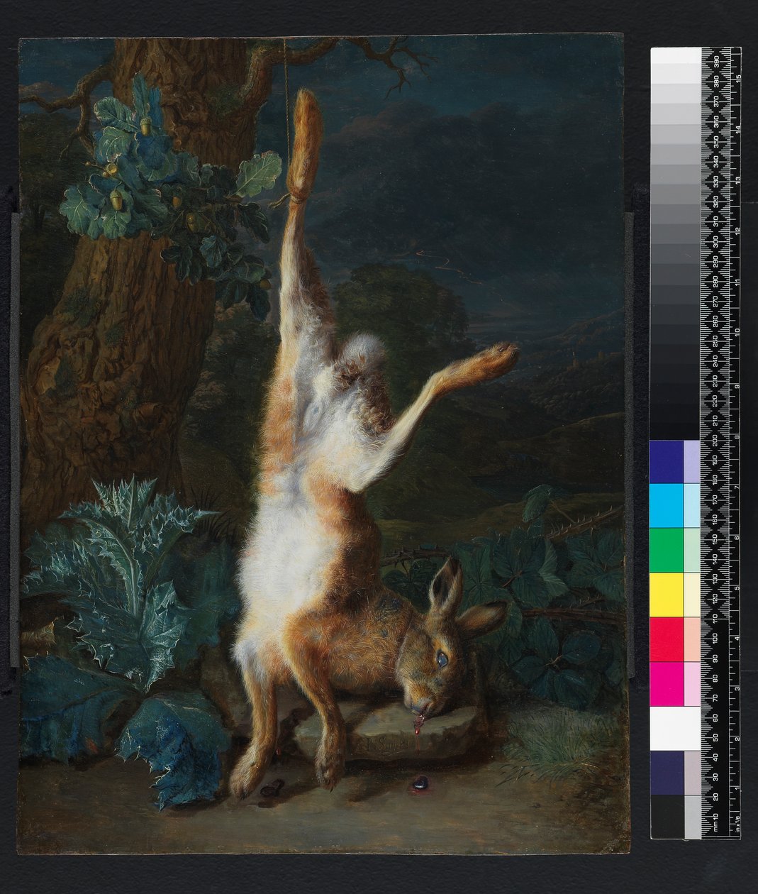 Martwy zając, przed 1782 r. autorstwa Pieter Snyers