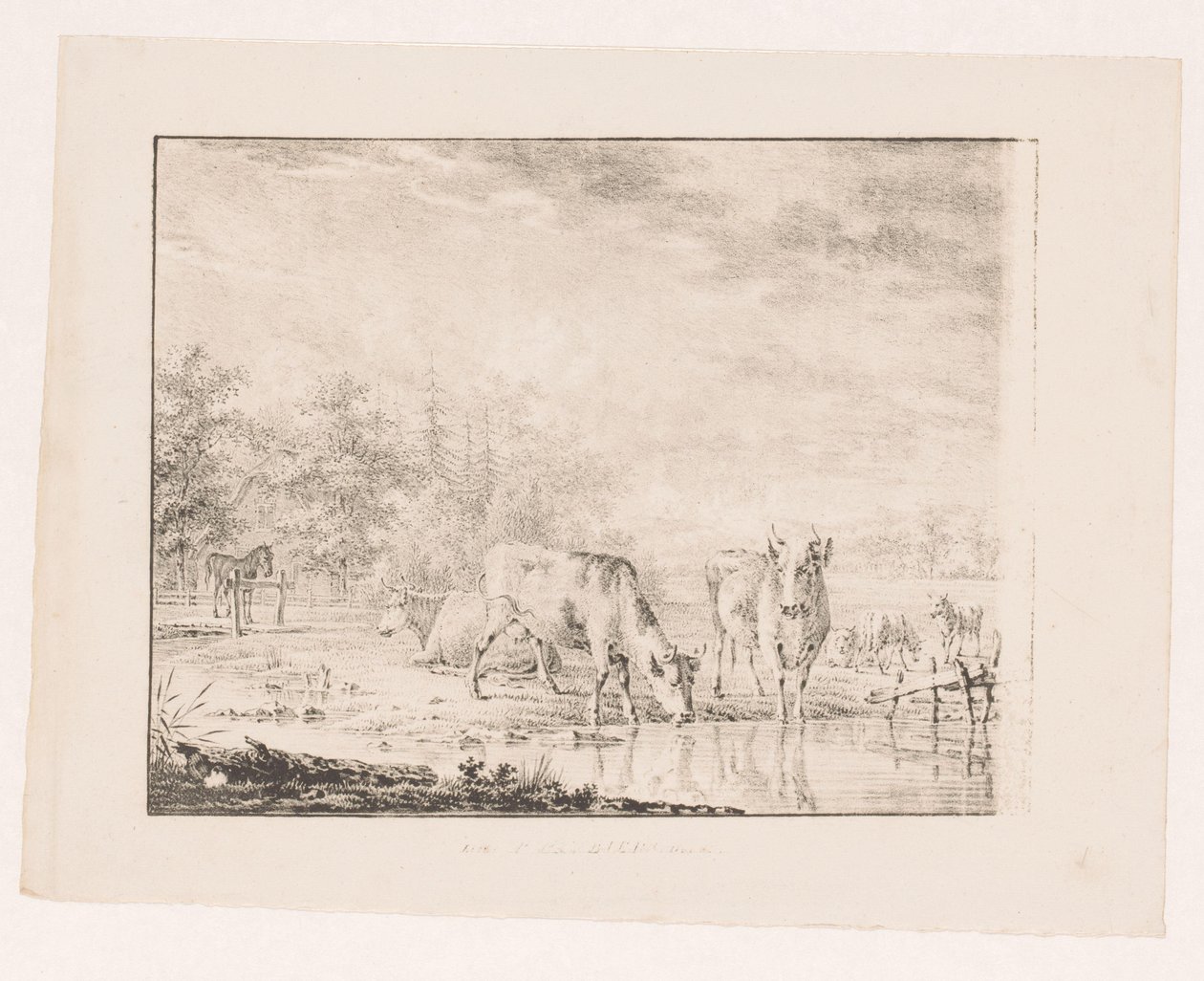 Krowy nad wodą autorstwa Pieter de Goeje (attributed to)