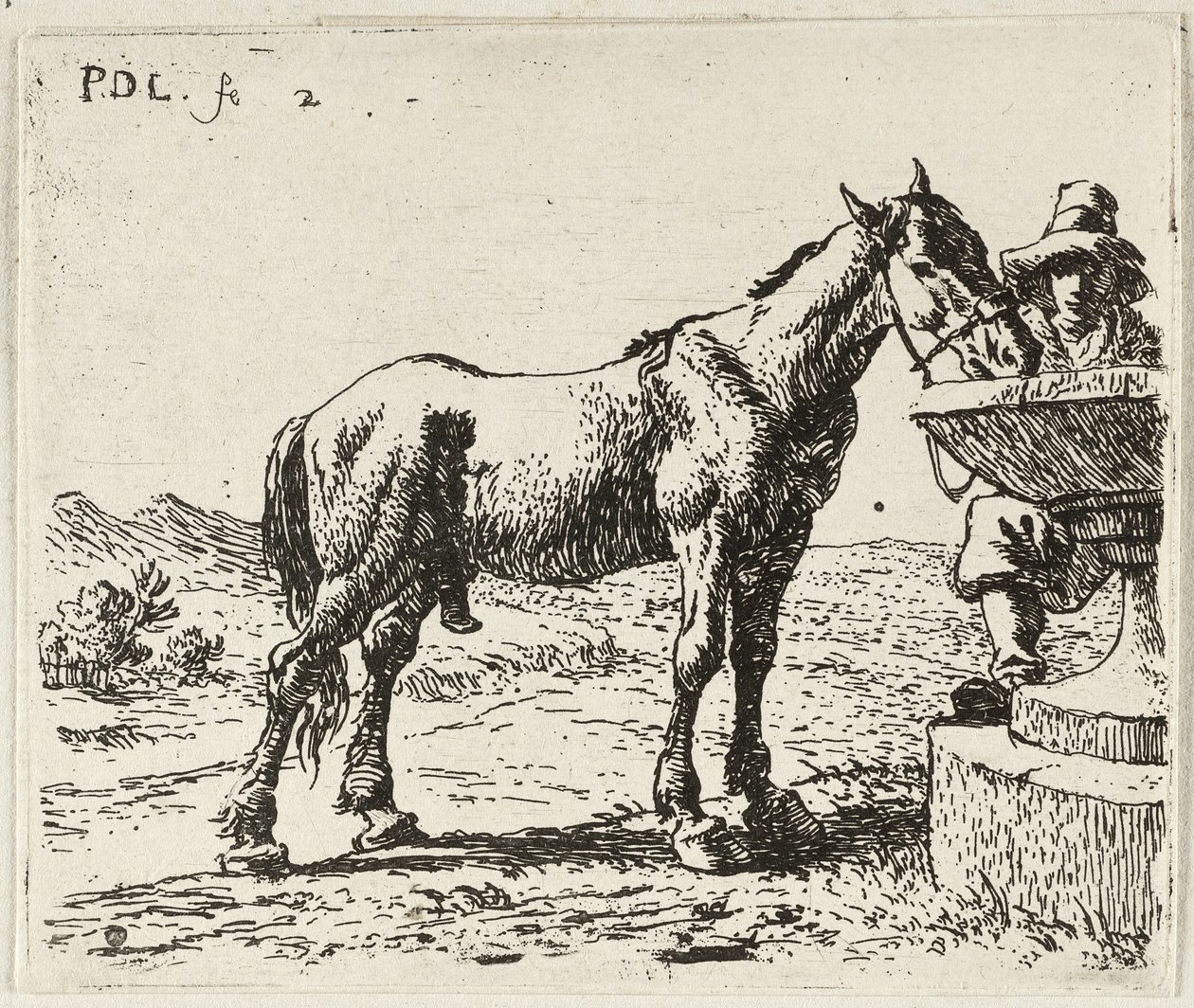 Pijący koń autorstwa Pieter van Laer