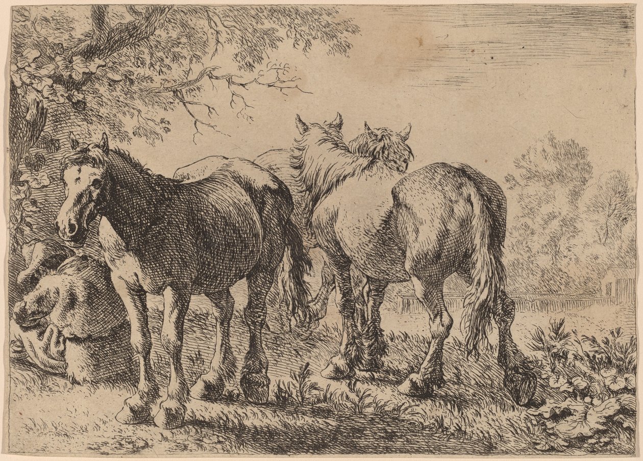 Trzy konie na polu autorstwa Pieter van Laer