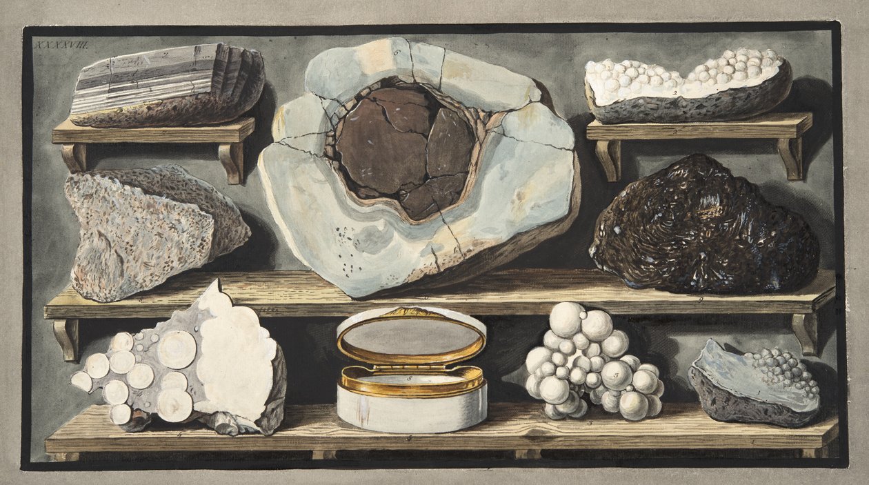 Okazy ciekawych kamieni znalezionych przez autora na Wezuwiuszu, płyta XXXXVIII, z „Campi Phlegraei: Observations on the Volcanoes of the Two Sicilies”, Sir William Hamilton (1730-1803), publi. autorstwa Pietro Fabris