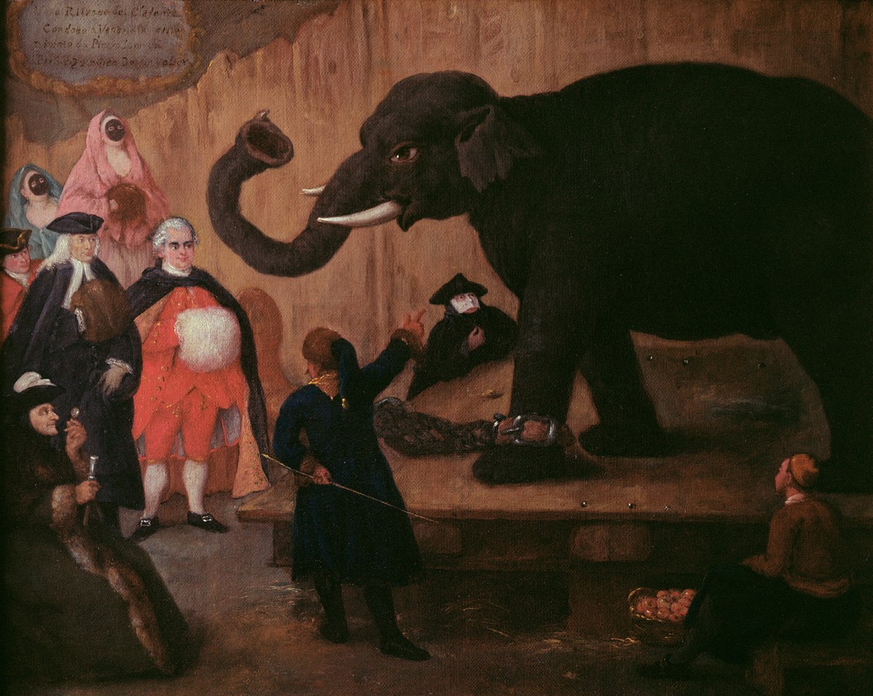 Słoń pokazywany w Wenecji autorstwa Pietro Longhi