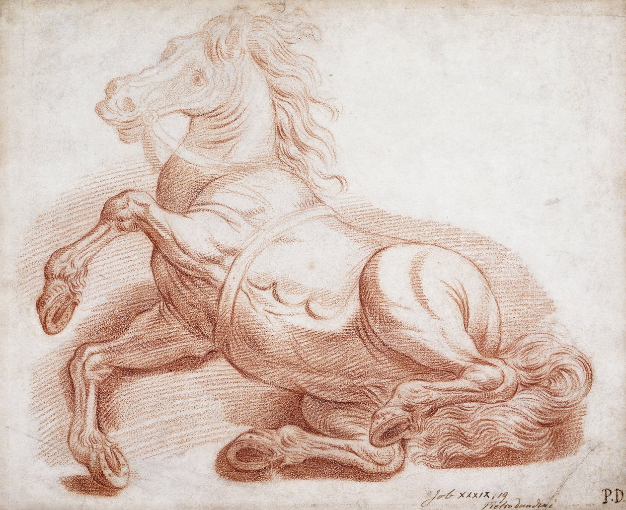 Upadły Koń, autorstwa Pietro Dandini
