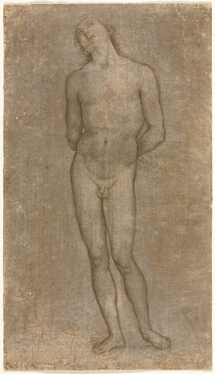 Św. Sebastian, ok. 1493. autorstwa Pietro Perugino