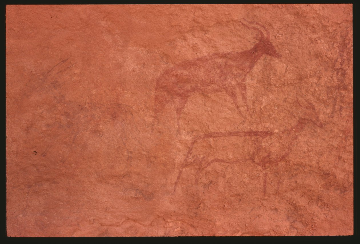 Krowy (malarstwo naskalne) autorstwa Prehistoric
