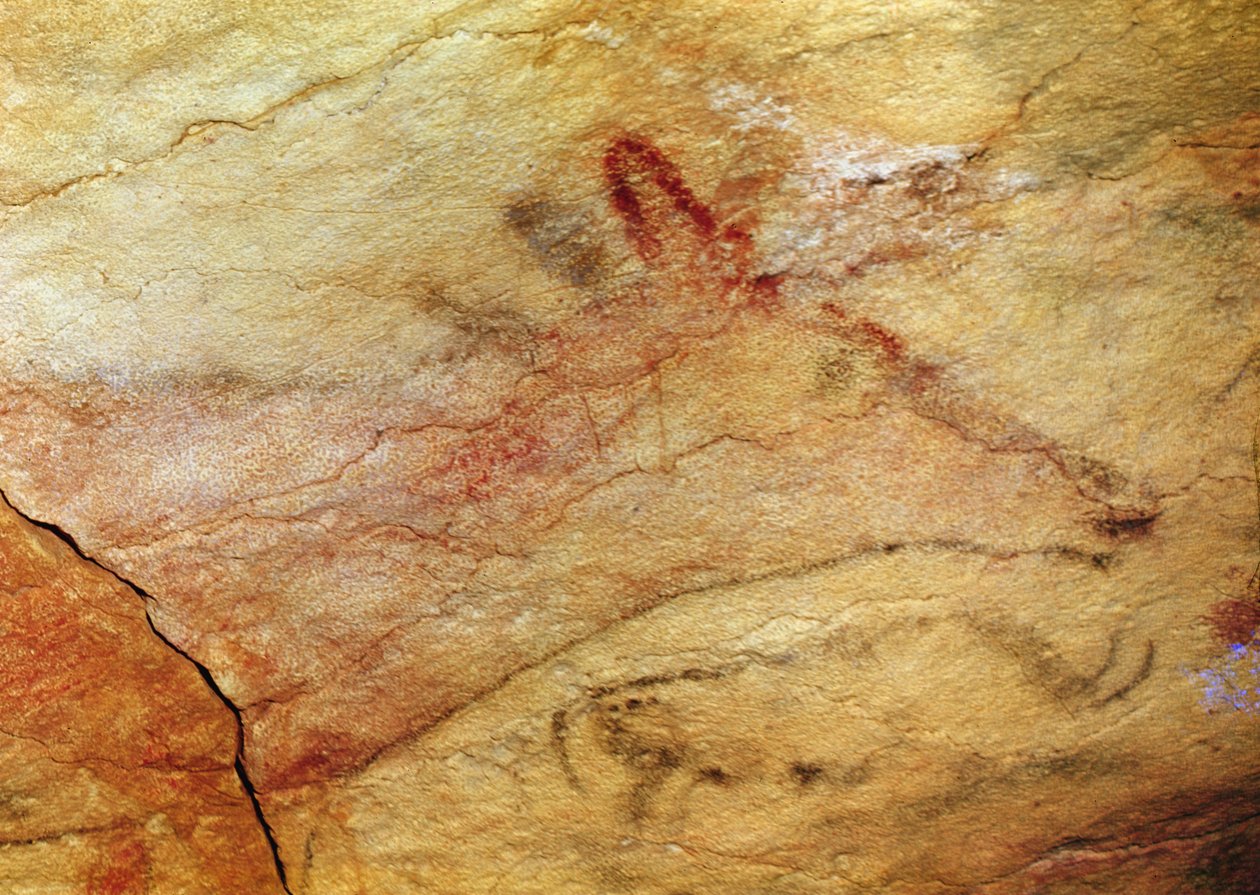 Jeleń z jaskiń Altamira, ok. 15.000 p.n.e. (malowidło jaskiniowe) (detal z 42412) autorstwa Prehistoric