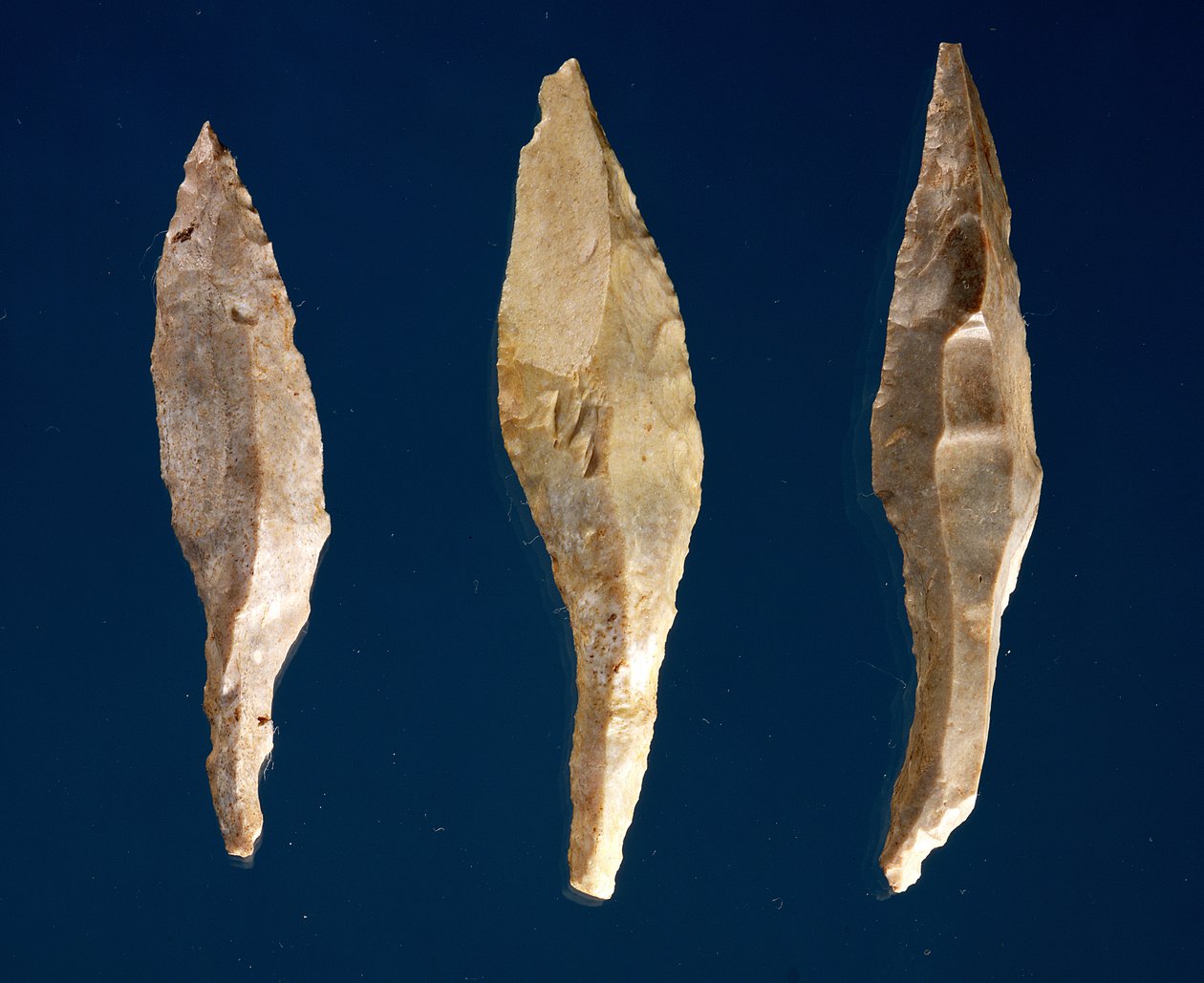 درې تیر سرونه (چمک) پولی autorstwa Prehistoric