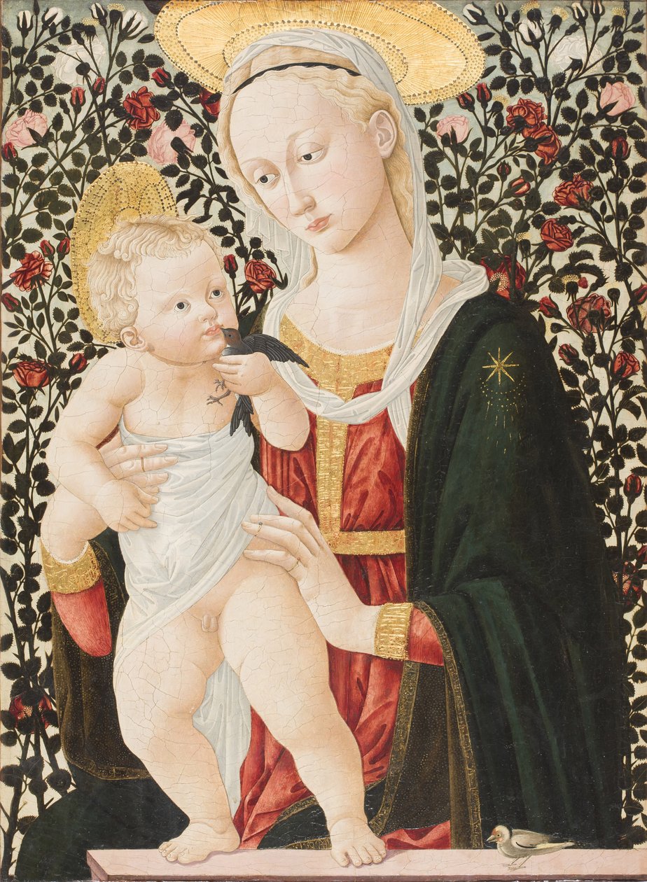 Madonna Róż, ok. 1485-90 (tempera) autorstwa Pier Francesco Fiorentino