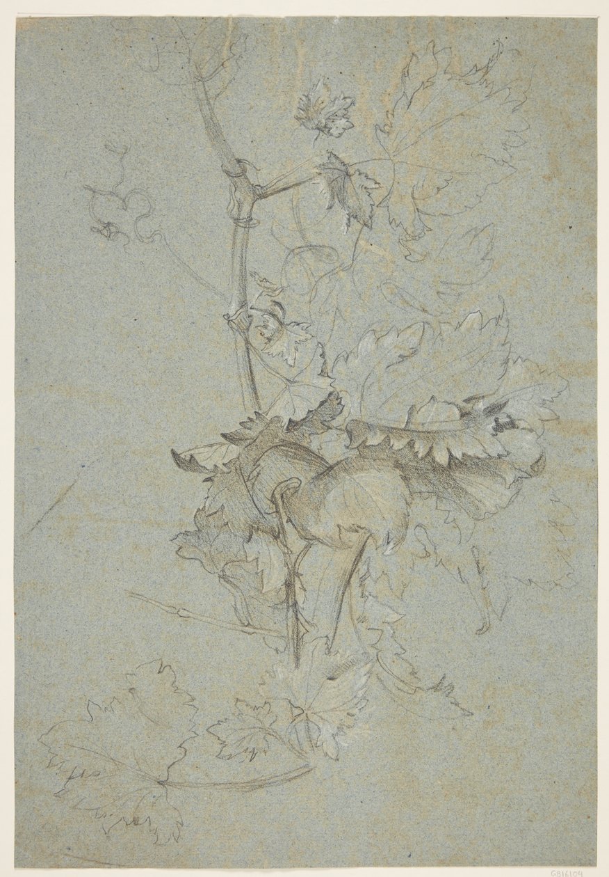 Badanie roślin autorstwa Rachel Ruysch