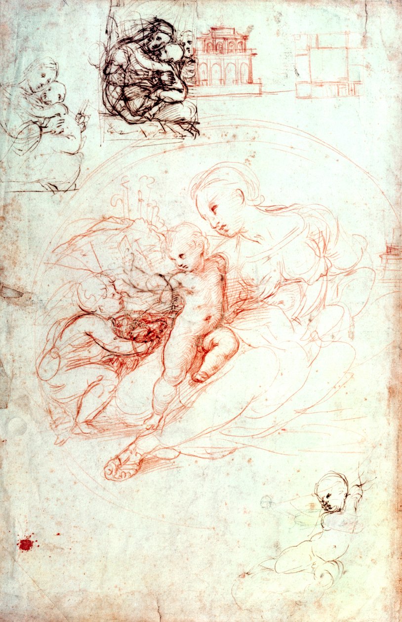 Studium dla Madonny Alba, ok. 1508-09 autorstwa Raffaello Sanzio Raphael
