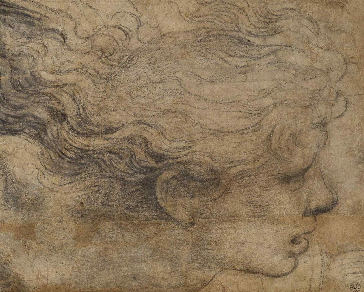 Głowa Anioła. autorstwa Raffaello Sanzio Raphael