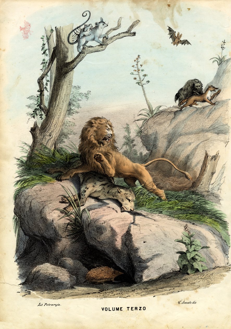 Strona tytułowa, 1863-79 autorstwa Raimundo Petraroja