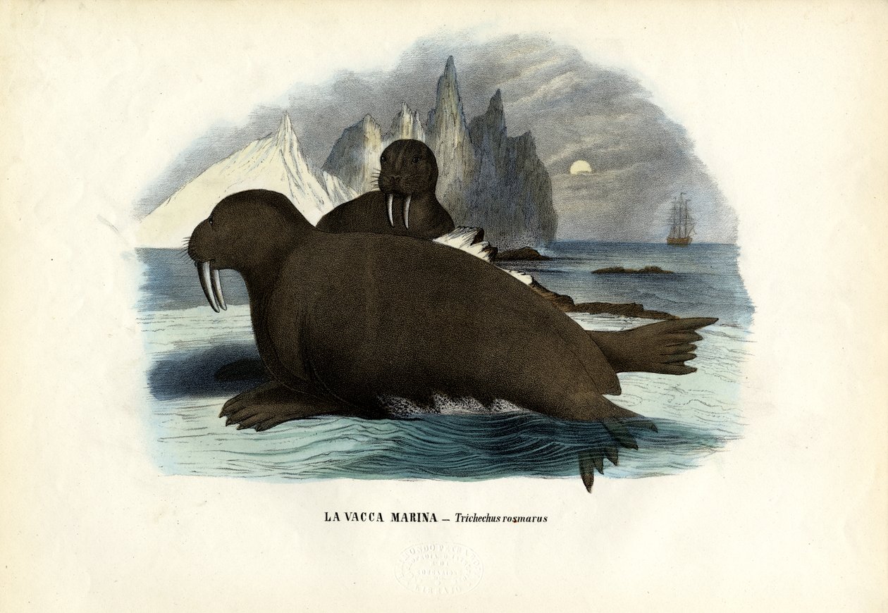 Mors, 1863-79 autorstwa Raimundo Petraroja
