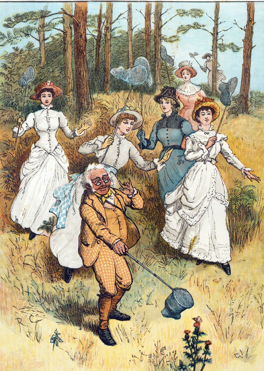 Klasa profesorska (wc nad piórem, tuszem i ołówkiem na papierze) autorstwa Randolph Caldecott