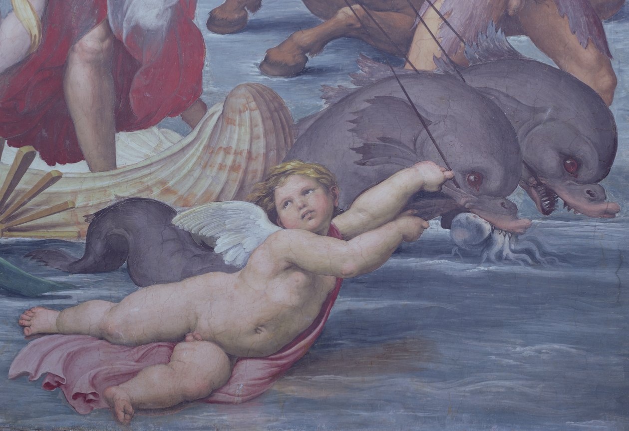 Galatea, fragment putta i delfinów, 1506 fragment fresku z 56473 autorstwa Raffaello Sanzio Raphael