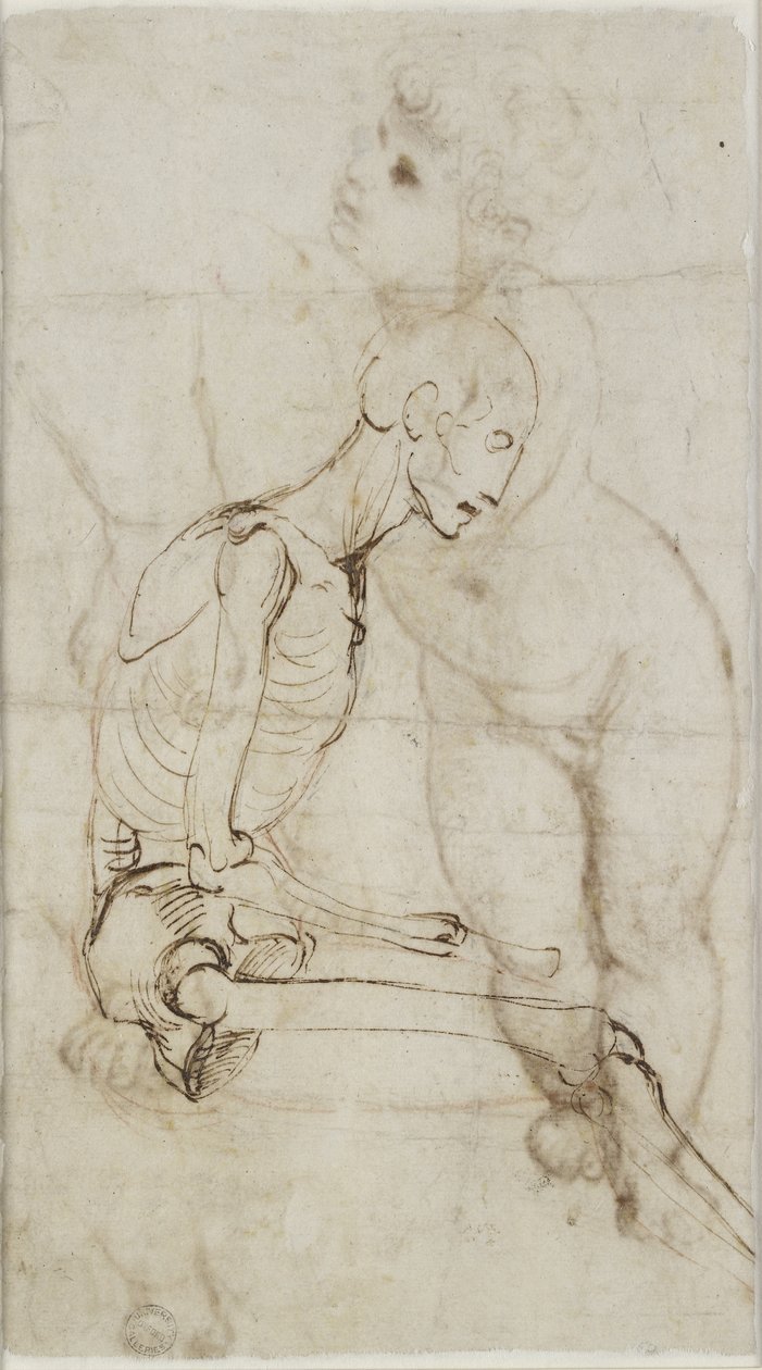 Verso: Studium szkieletu, WA1855.91 autorstwa Raffaello Sanzio Raphael