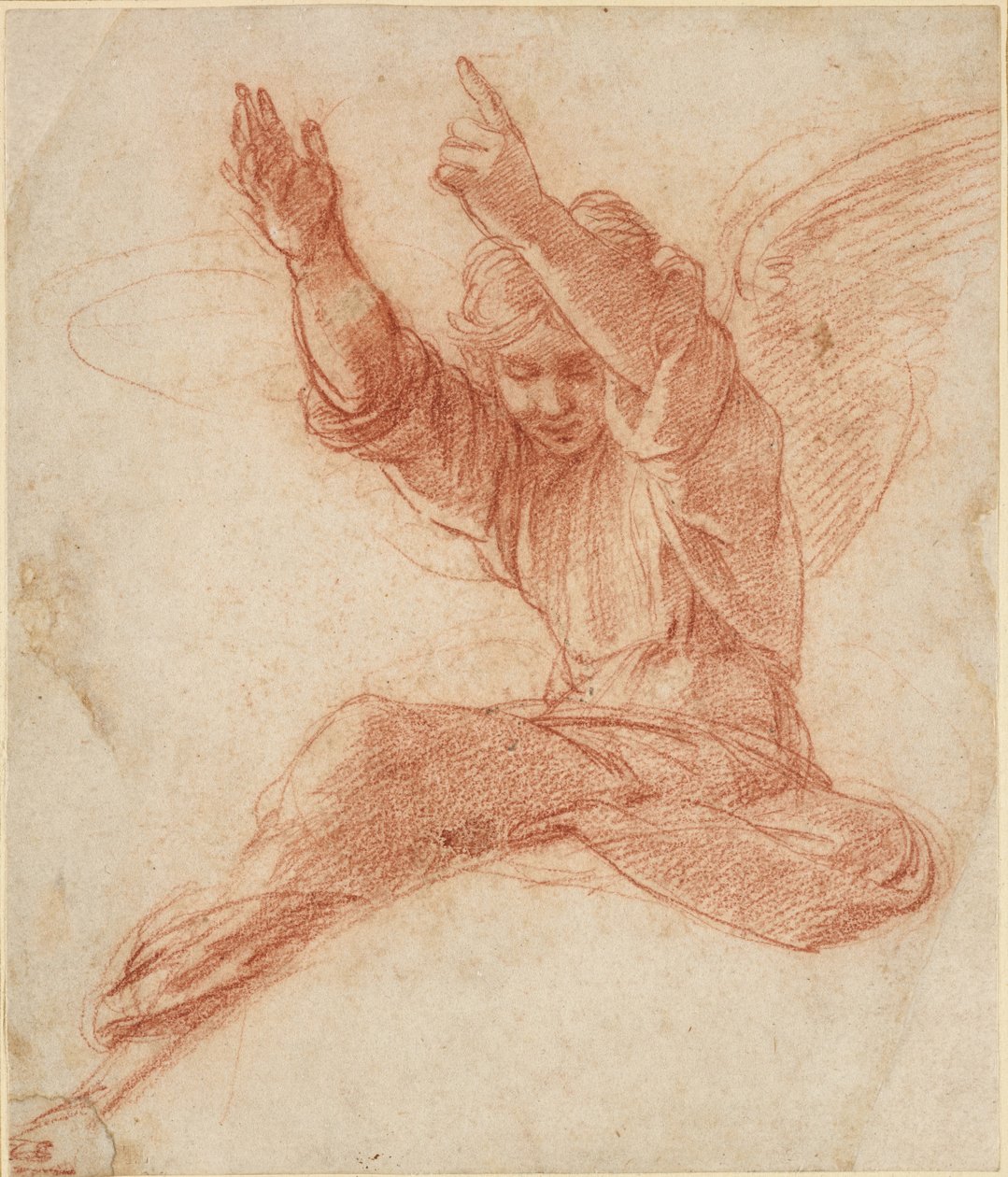 Anioł, WA1846.208 (czerwona kreda na jakimś ślepym rysiku) autorstwa Raffaello Sanzio Raphael