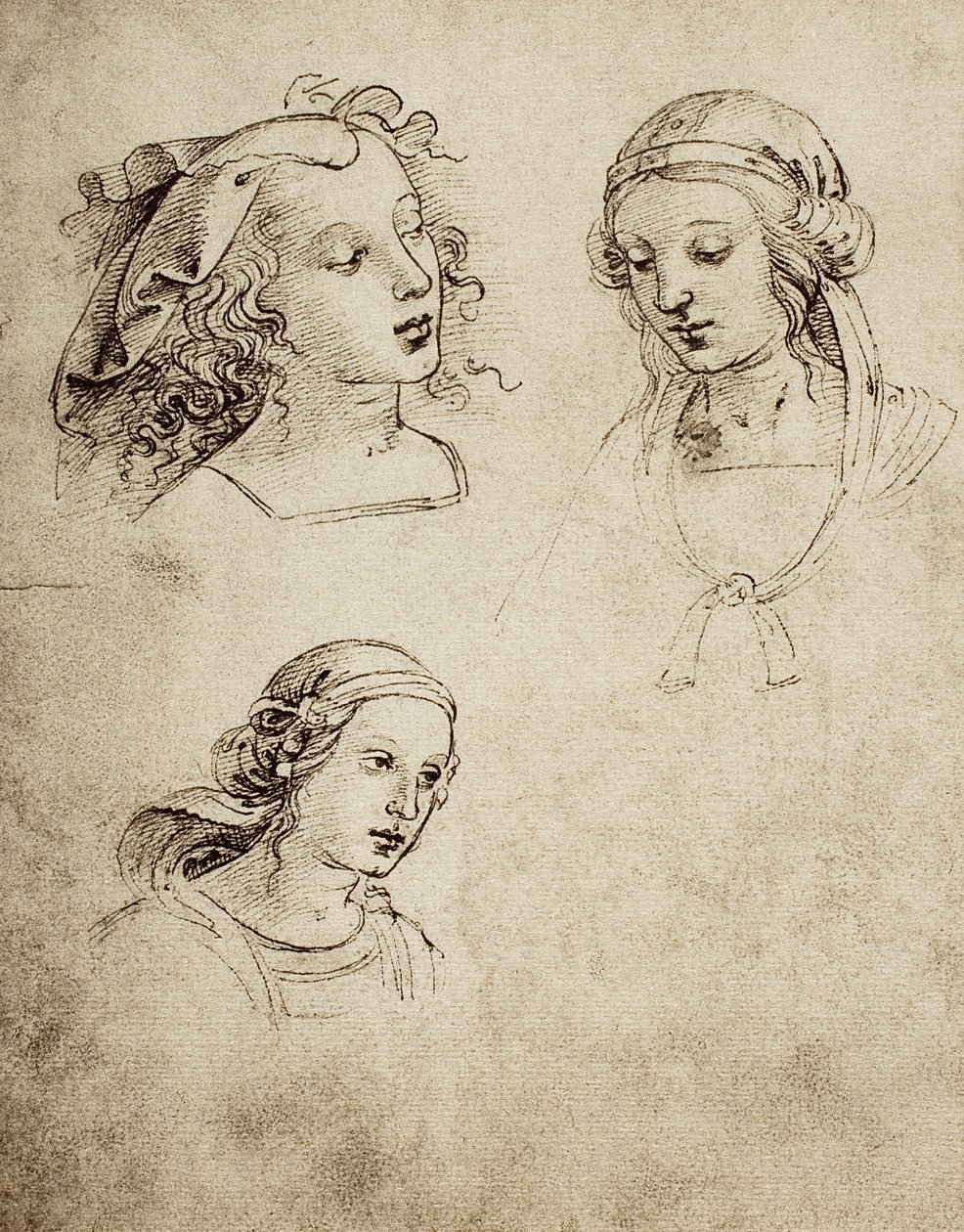 Studium dla trzech kobiecych głów; rysunek Rafaela. Gallerie dellAccademia di Venezia autorstwa Raffaello Sanzio Raphael