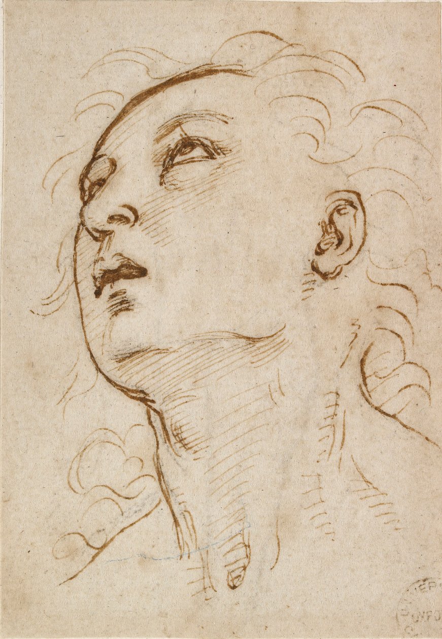Głowa młodego mężczyzny patrzącego w górę, c1497-c1504 autorstwa Raphael
