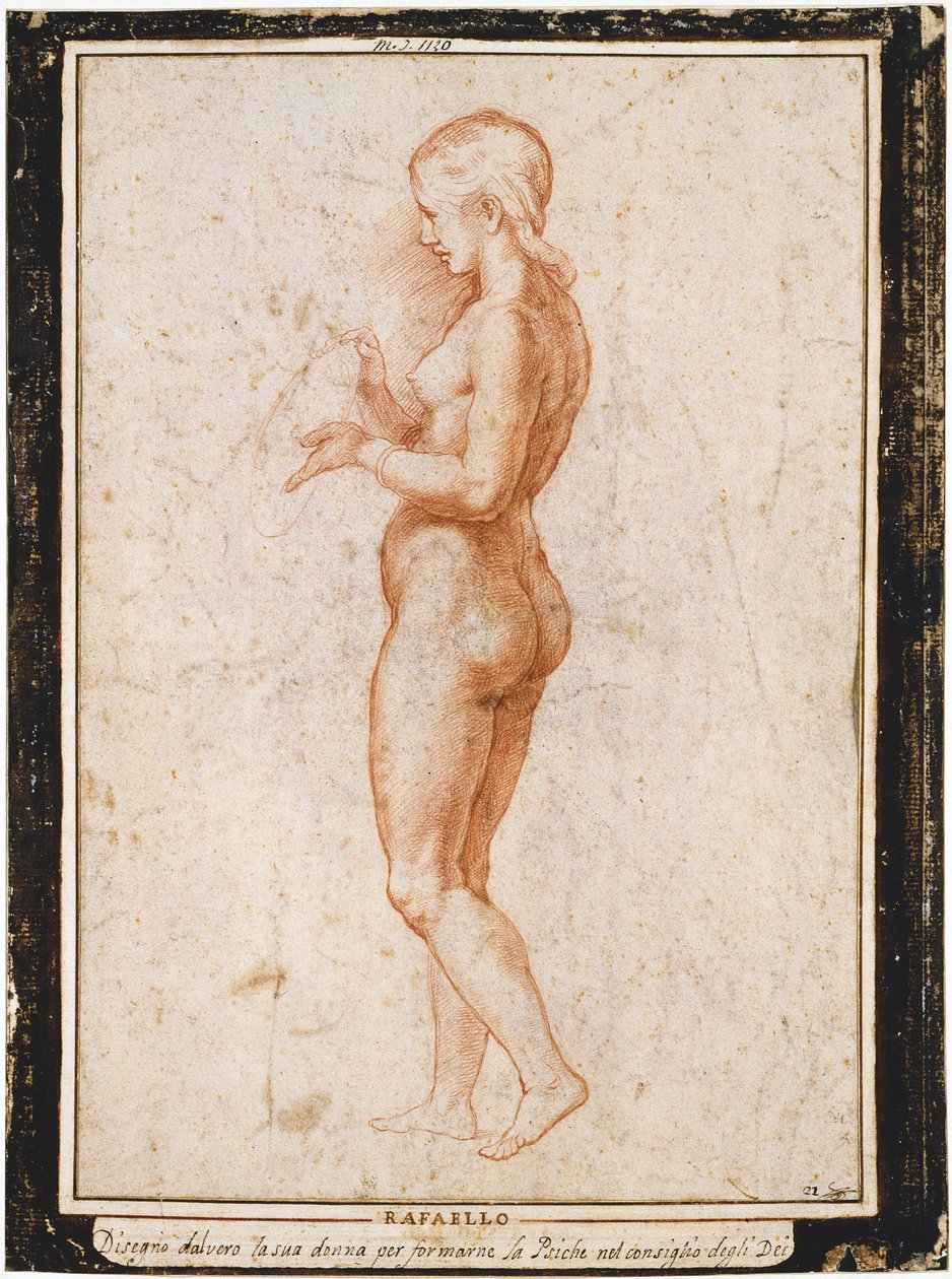 Młoda postać kobieca z profilu, ok. 1517 r. autorstwa Raphael