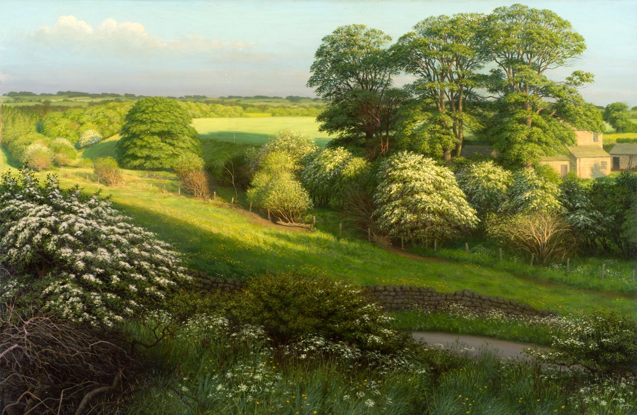 Krajobraz autorstwa Raymond Booth