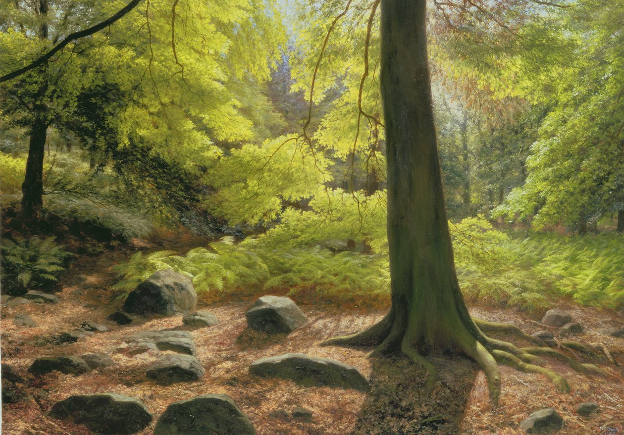 Wiosenne słońce w Adel Woods autorstwa Raymond Booth