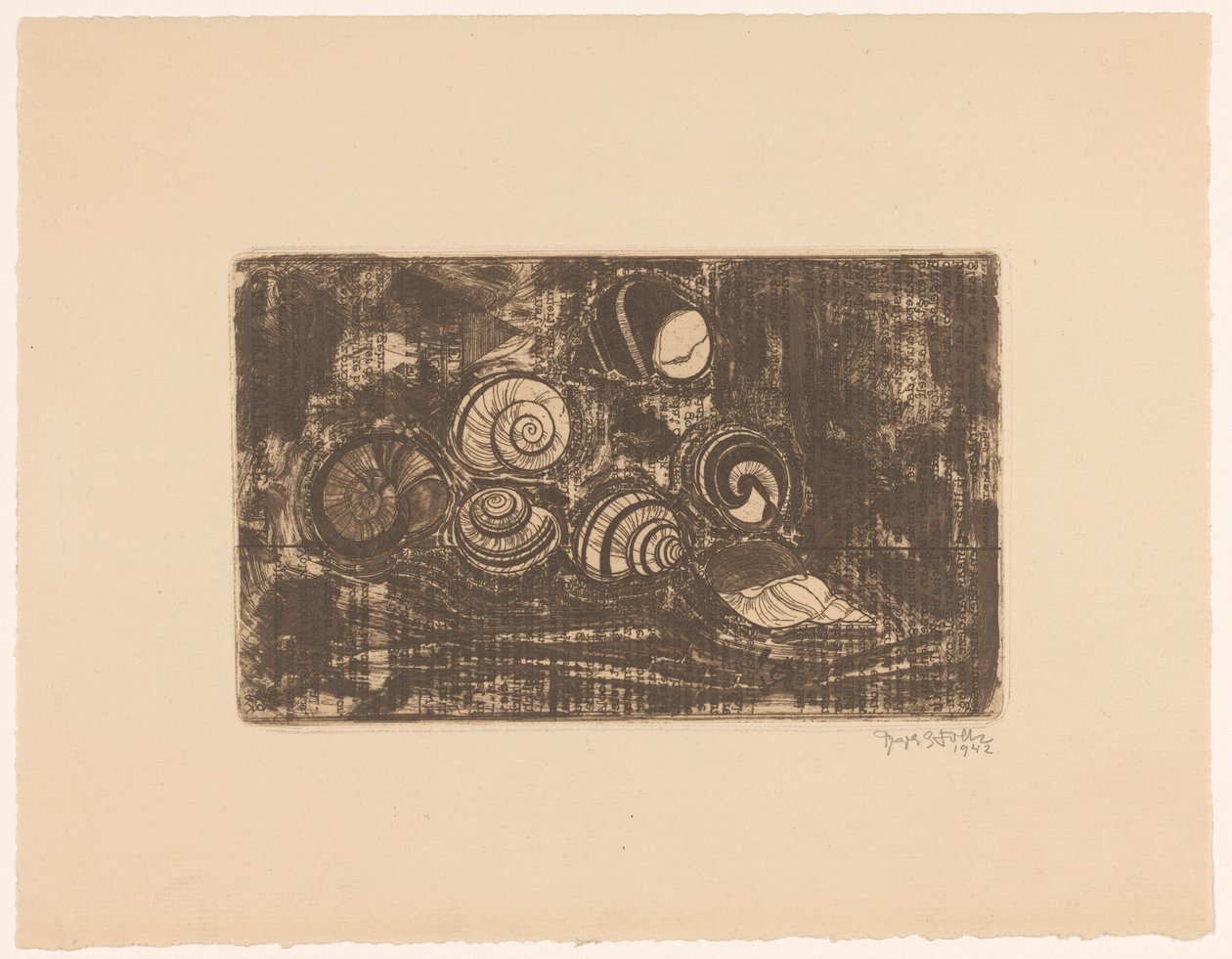 Siedem muszli autorstwa Reijer Stolk (signed by artist)