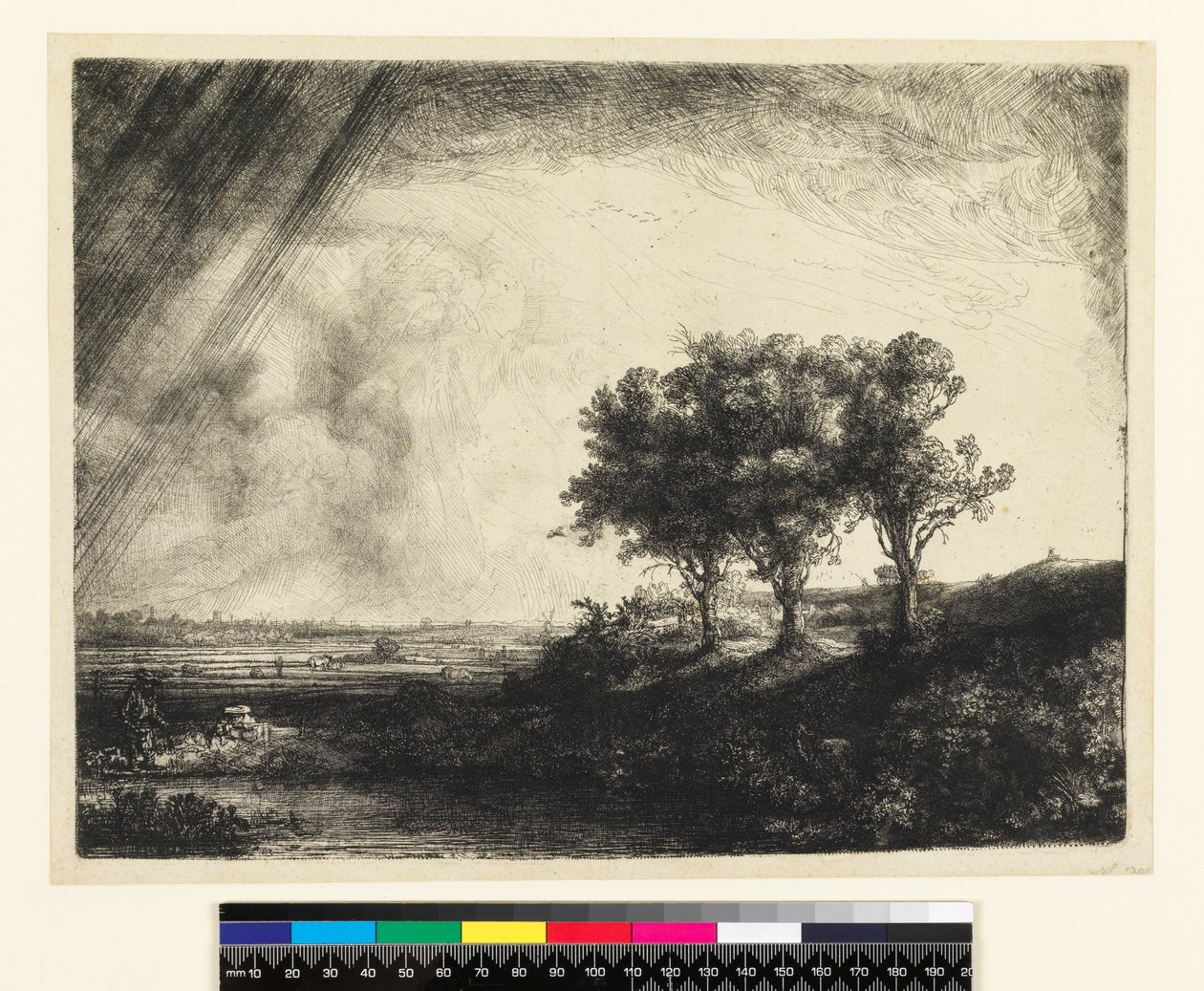 23.K5-292 Trzy drzewa autorstwa Rembrandt van Rijn