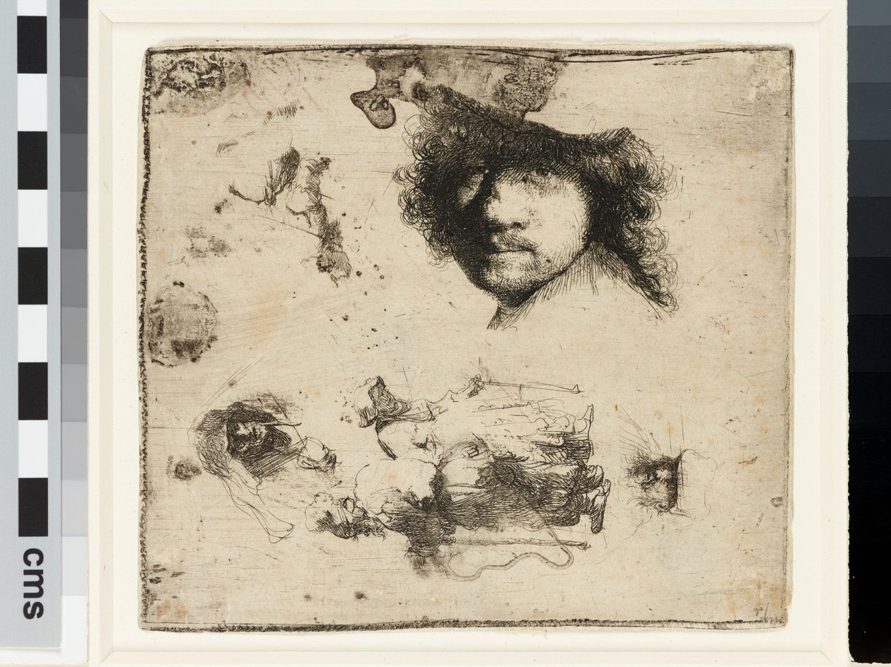 Arkusz studiów autorstwa Rembrandt van Rijn