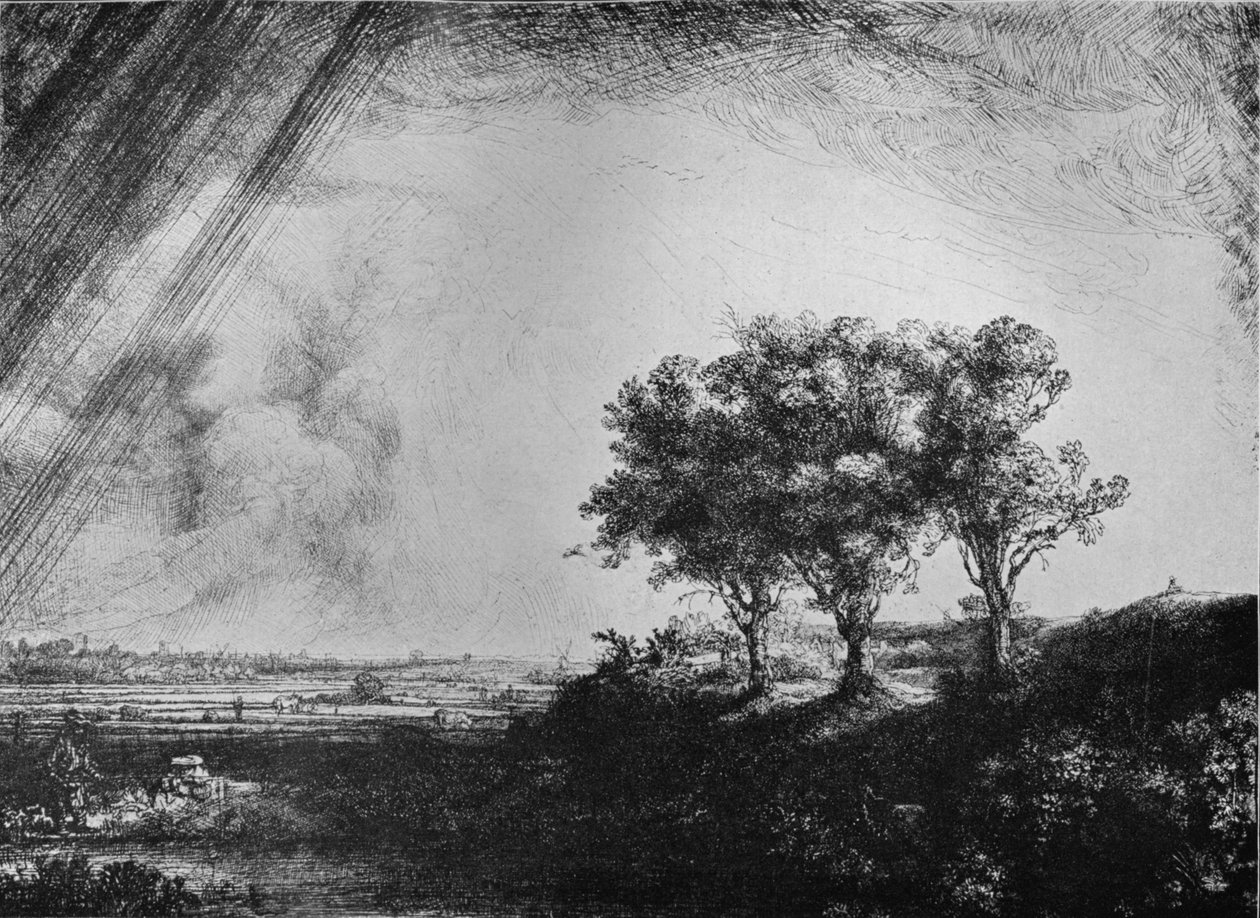 Trzy drzewa, 1643 autorstwa Rembrandt van Rijn