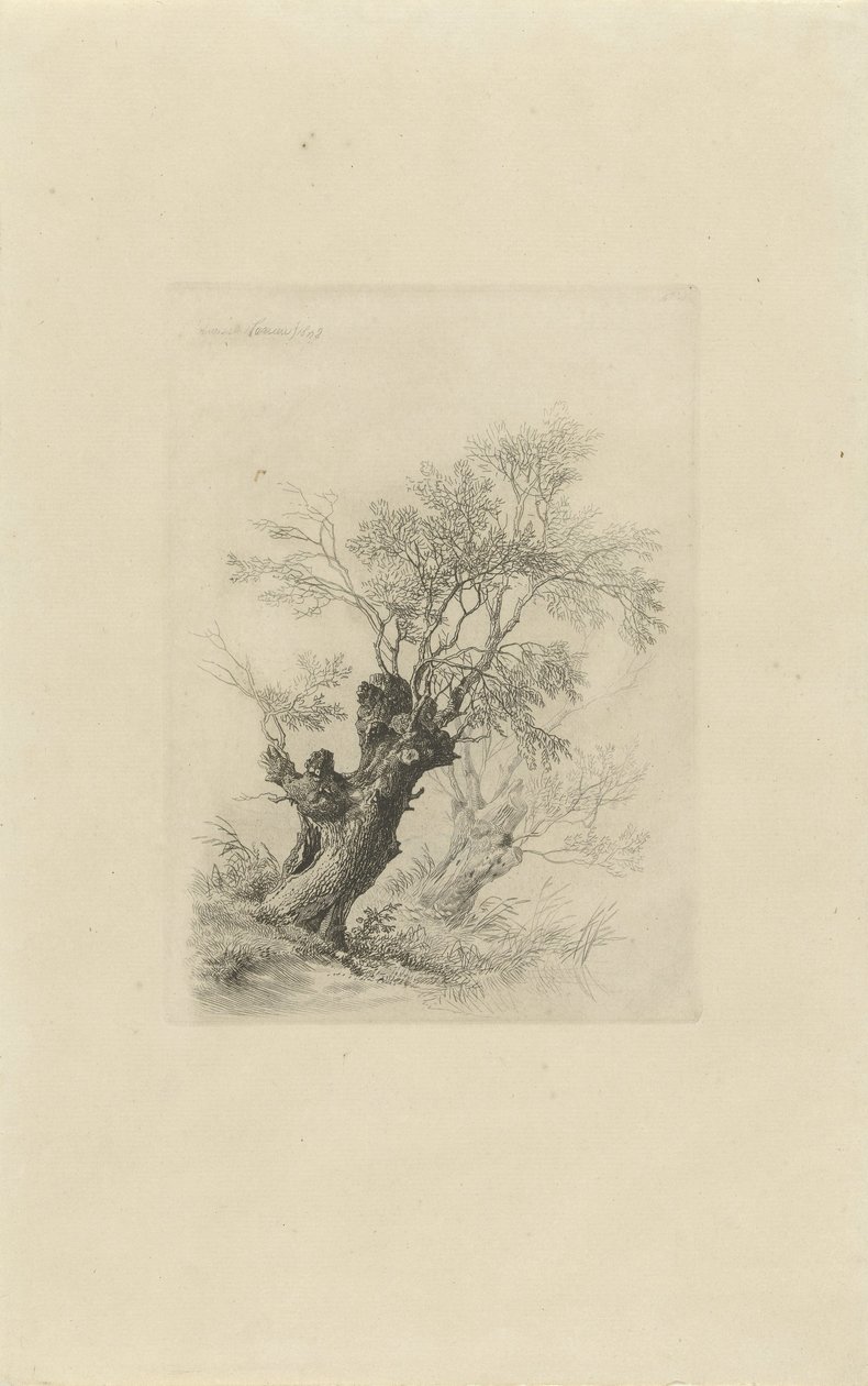 Wierzba autorstwa Remigius Adrianus Haanen