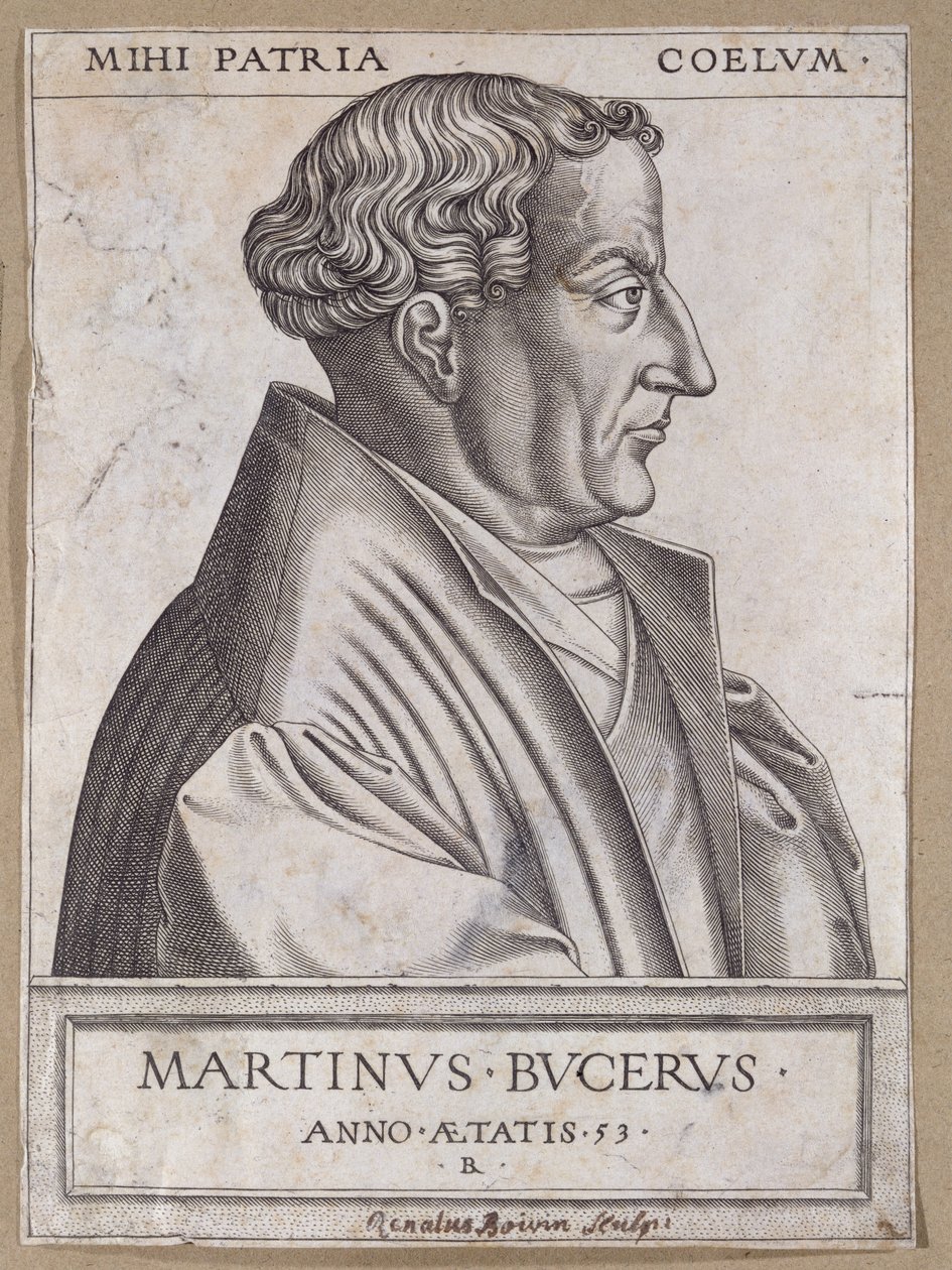 Martin Bucer (1491-1551) w wieku 53 autorstwa Rene Boyvin
