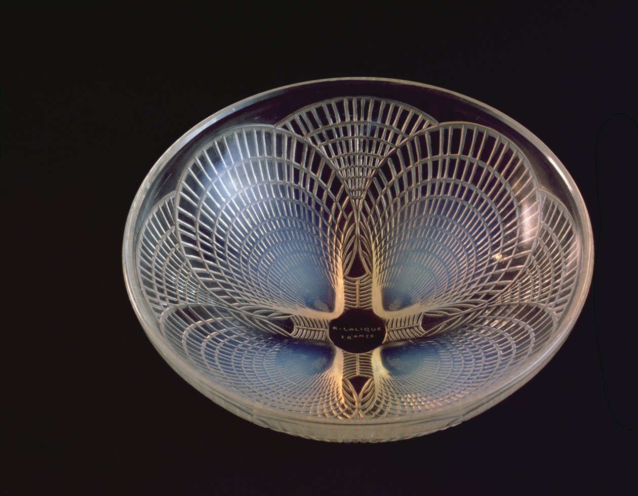 Coquilles, opalizujący szklany wazon uformowany z pokrywającymi się muszlami przegrzebków przez Lalique autorstwa Rene Jules Lalique