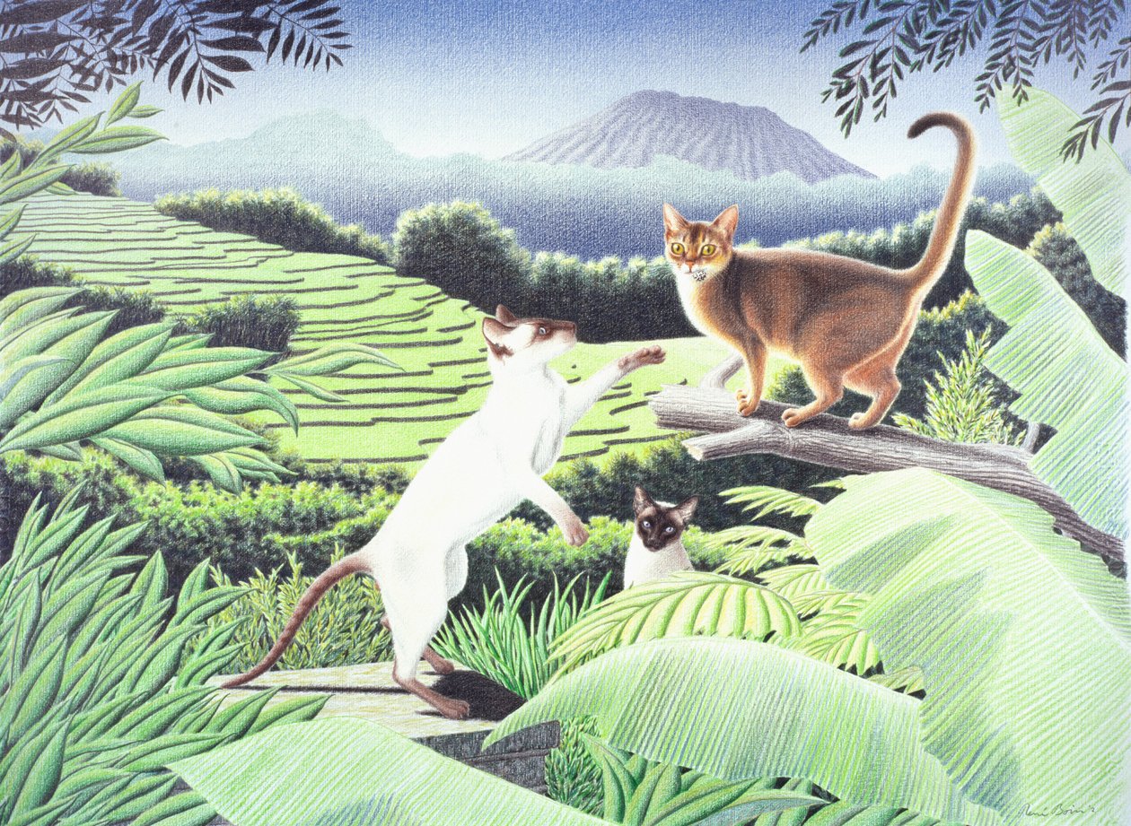 Bali, 2002, Rysunek ołówkiem na papierze autorstwa Rene Boin