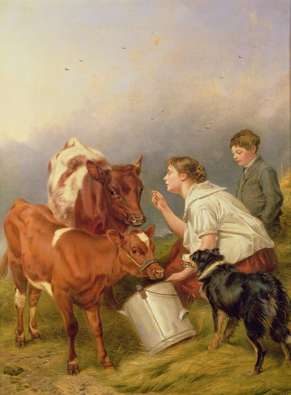 Ulubione cielę autorstwa Richard Ansdell