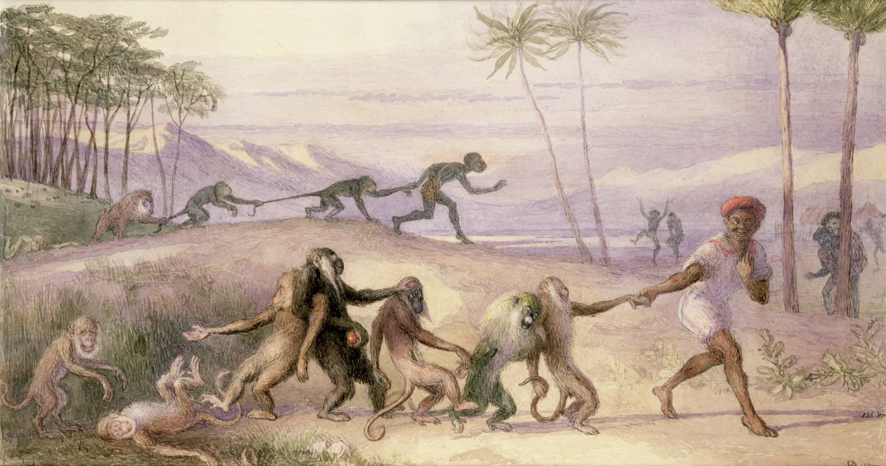Maniery i zwyczaje małp autorstwa Richard Doyle
