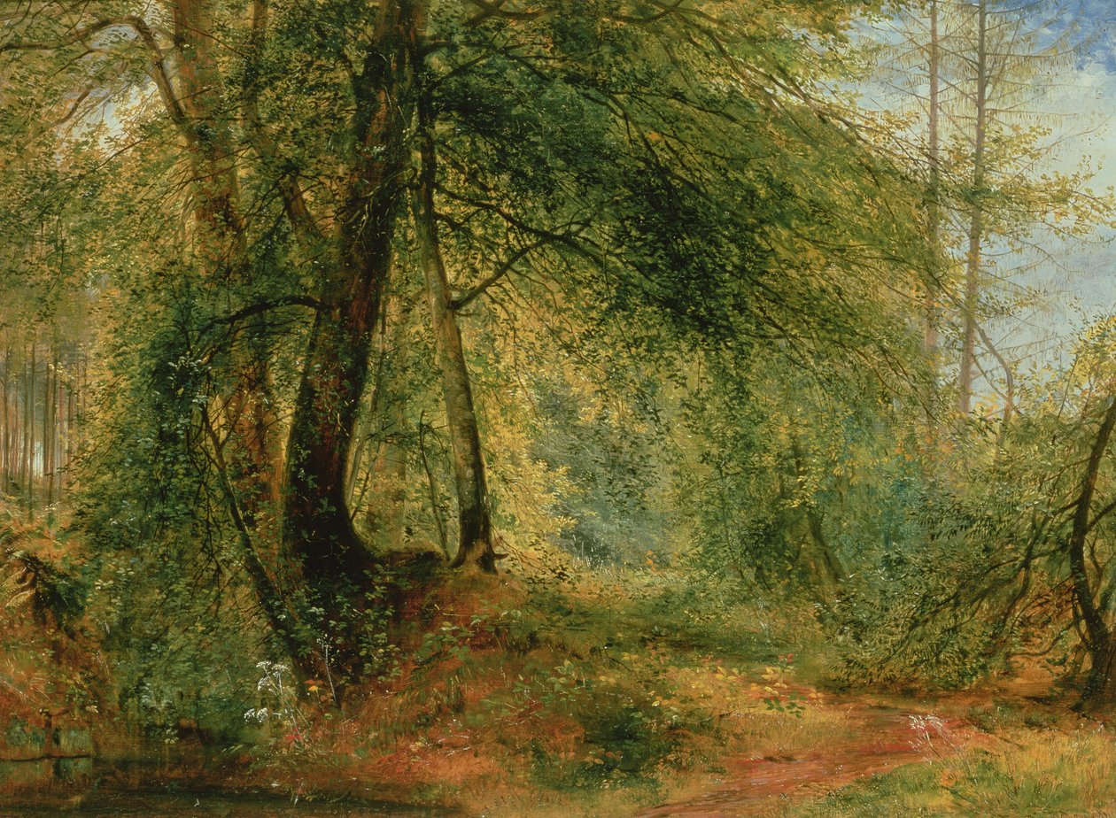 Lustro leśne, XIX w. autorstwa Richard Redgrave