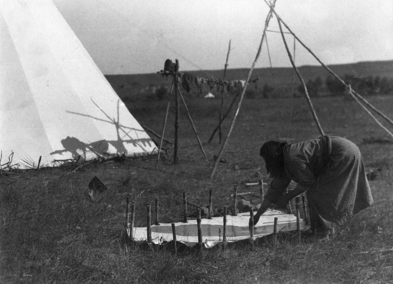 Skrobanie skóry, ok. 1902-11 autorstwa Richard Throssel