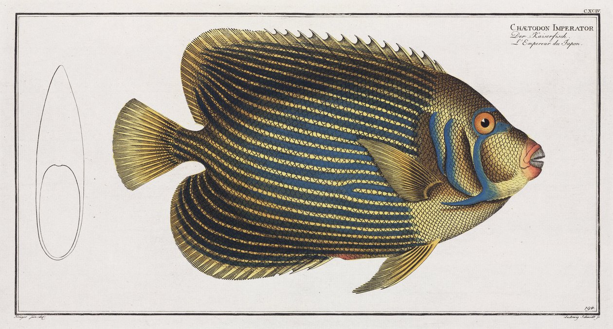 Skalary Imperator autorstwa John Pardon