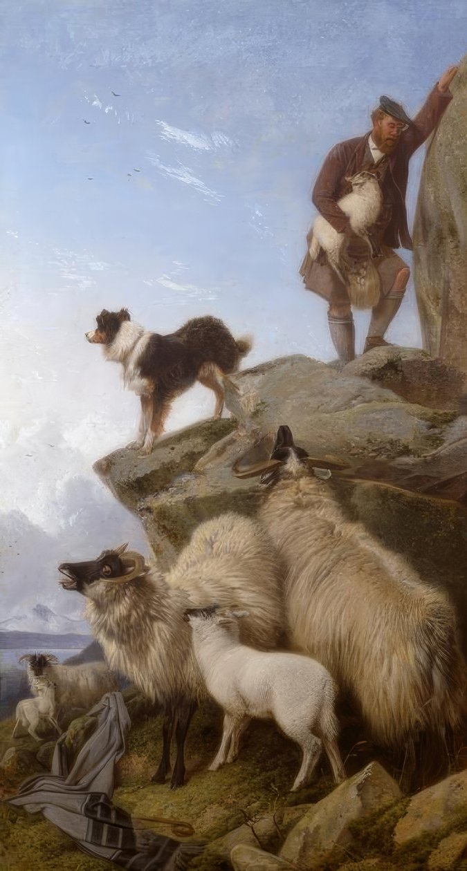R.Ansdell, Zagubiona owieczka / malarstwo, 1868 autorstwa Richard Ansdell
