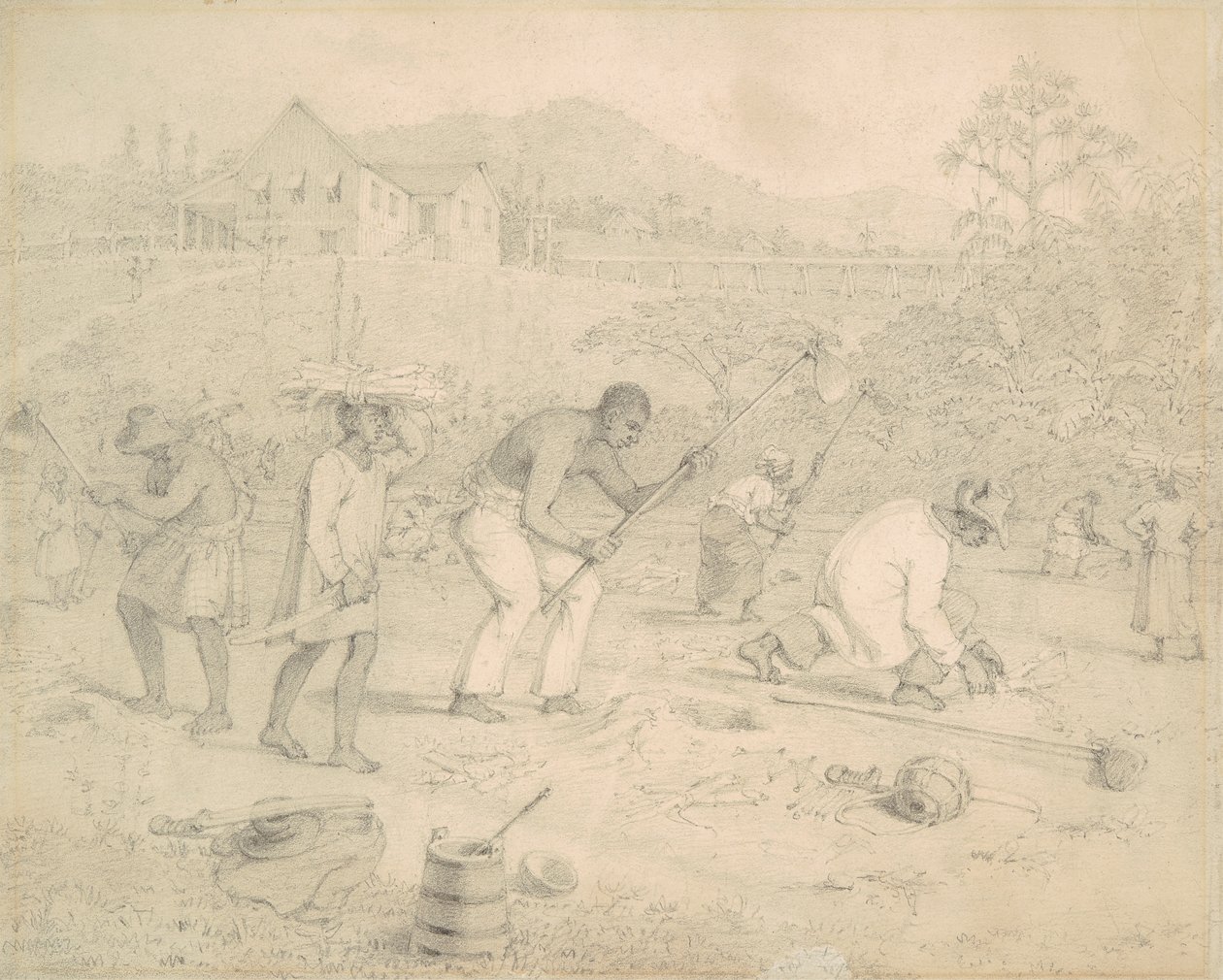 Sadzenie trzciny cukrowej (Trynidad) autorstwa Richard Bridgens
