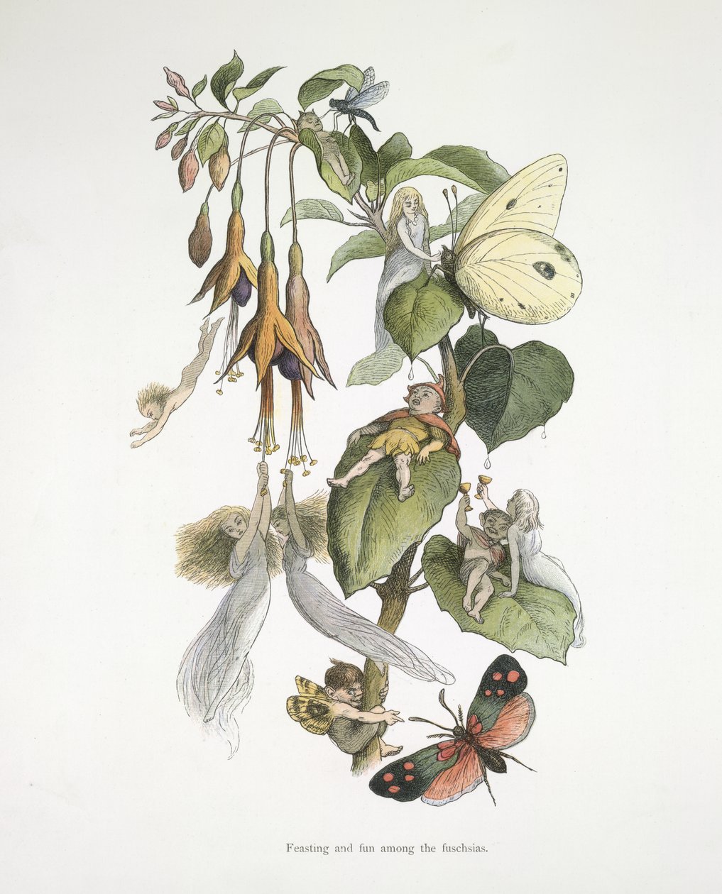 Uczta i zabawa wśród fuschias autorstwa Richard Doyle