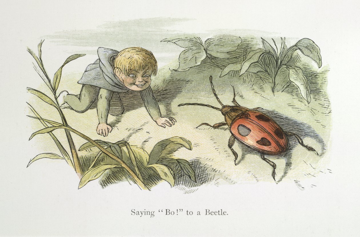 Mówiąc nie! do chrząszcza autorstwa Richard Doyle