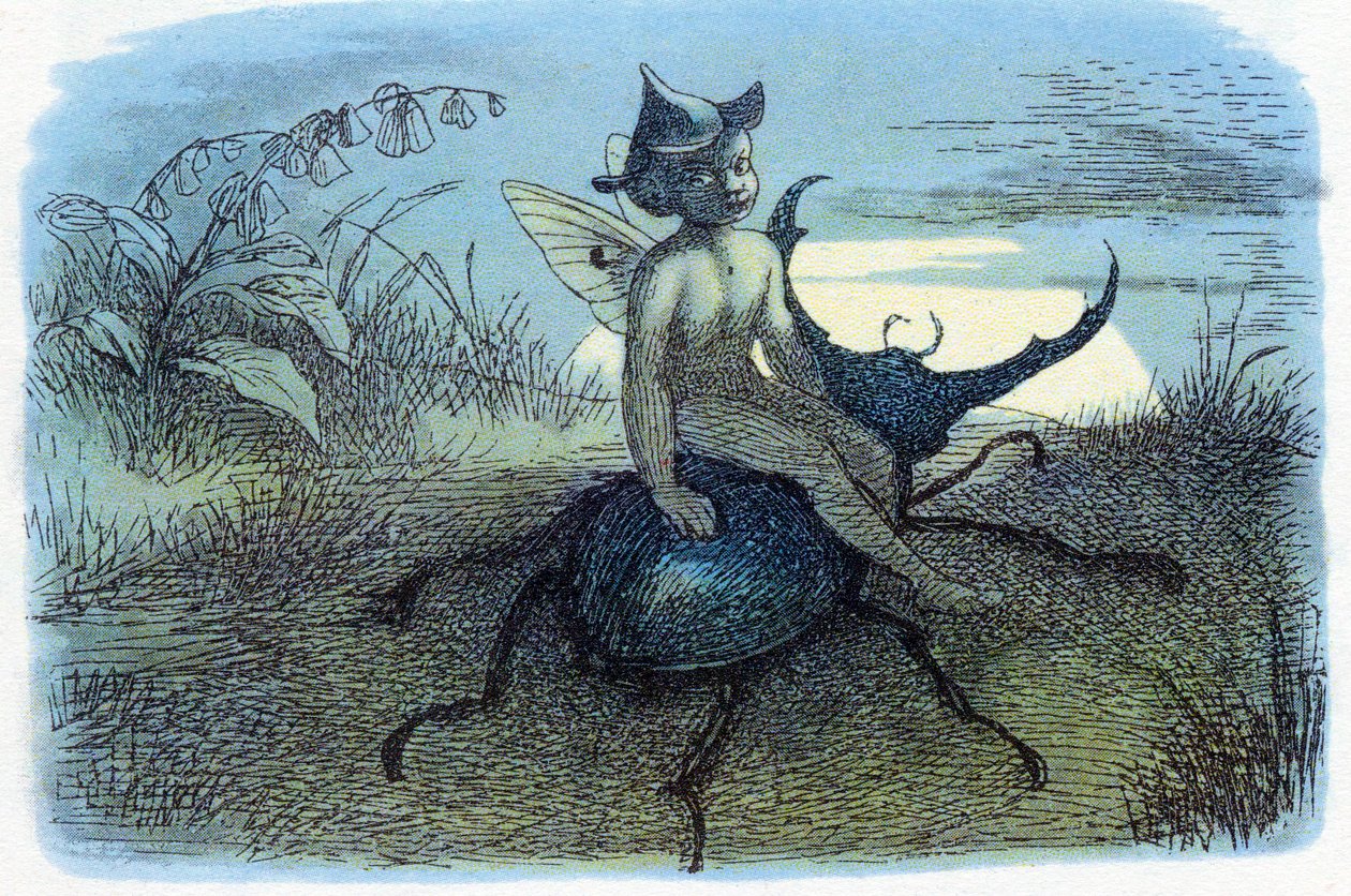 Posłaniec Królowej Wróżek, ok. 1870 r. autorstwa Richard Doyle