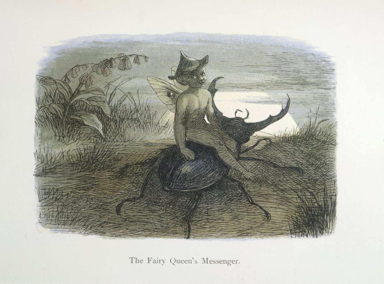 Posłaniec Królowej Wróżek autorstwa Richard Doyle