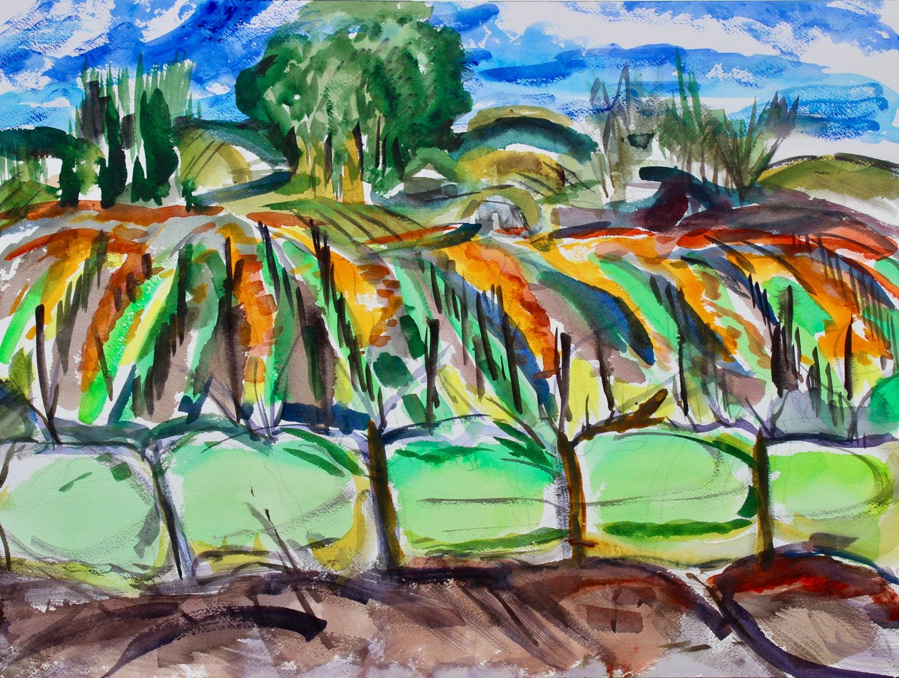 Jesienne Winnice, Napa, 2017 autorstwa Richard Fox