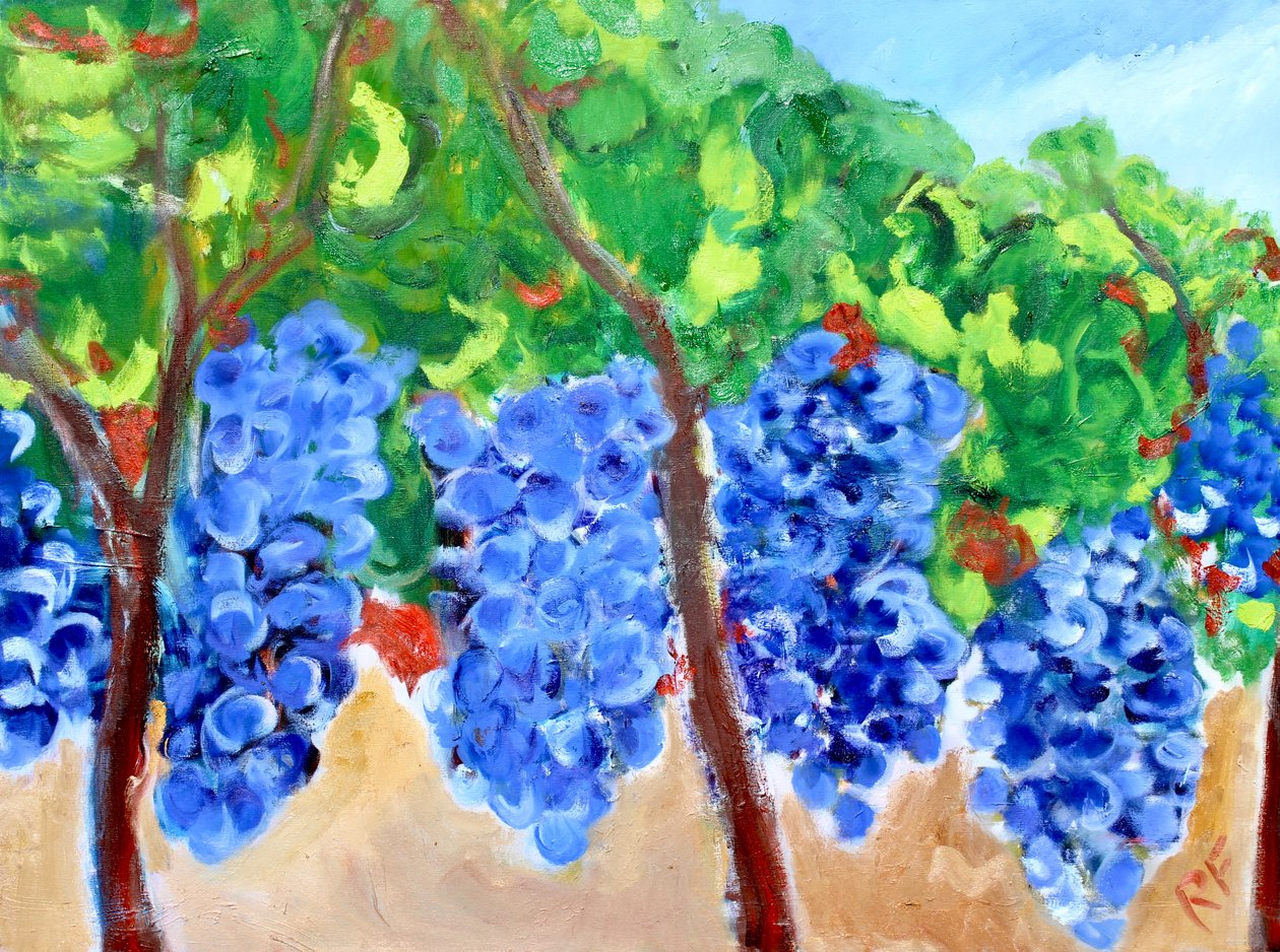 Winogrona na winorośli, 2017 autorstwa Richard Fox