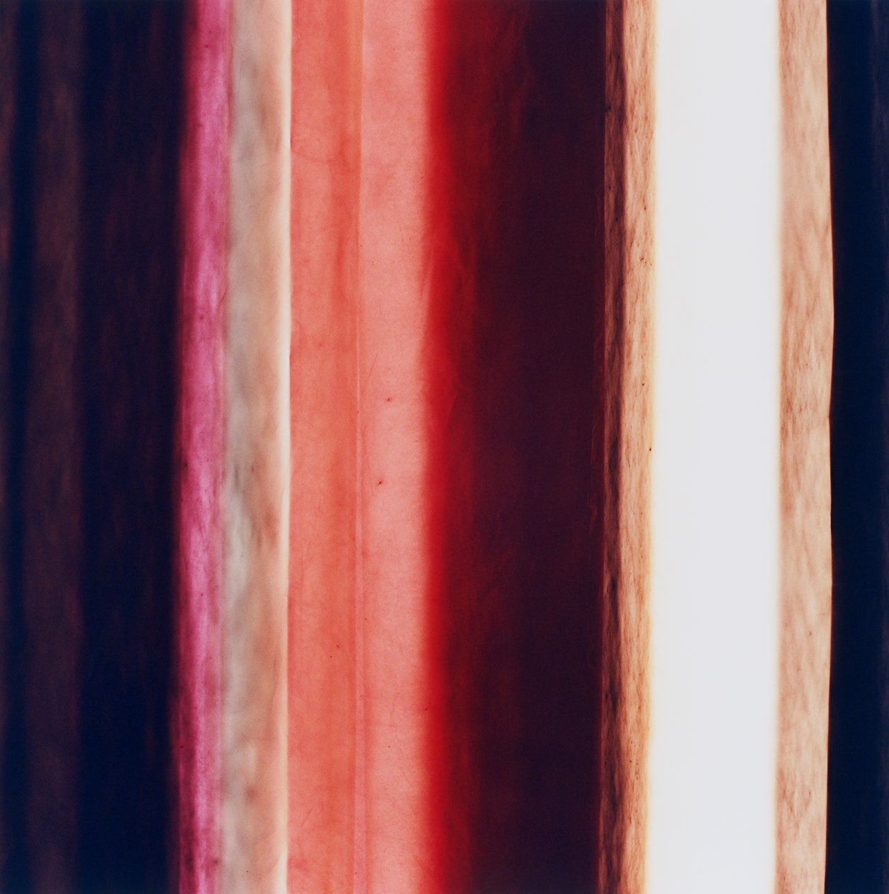 Stripe XI, 2005 autorstwa Richard Green