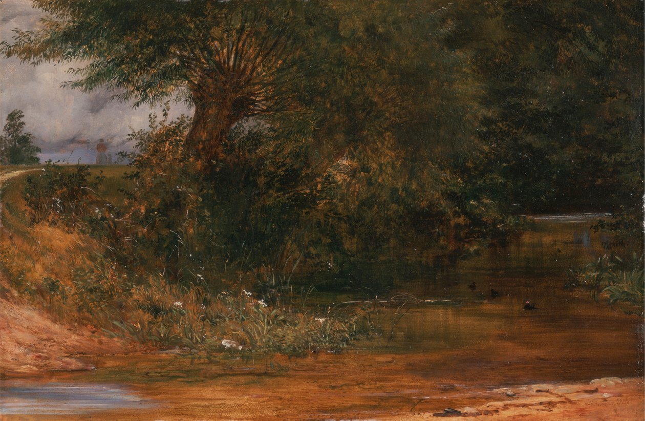 Nawiedzenie Moorhenów autorstwa Richard Redgrave